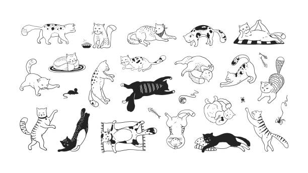 Hand drawn cats. Funny and cute pets, doodle black different kittens and cats sitting lying and playing. Vector ink sketch characters Hand drawn cats. Funny and cute pets, doodle black different kittens and cats sitting lying and playing. Vector collection ink sketch trendy image characters joyful play kitty hairy ball pictures stock illustrations