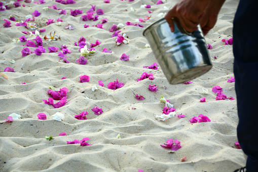 Romantic activity: Throwing bougainvillea flower heads on tropical beach. Preparation for a private dinner.