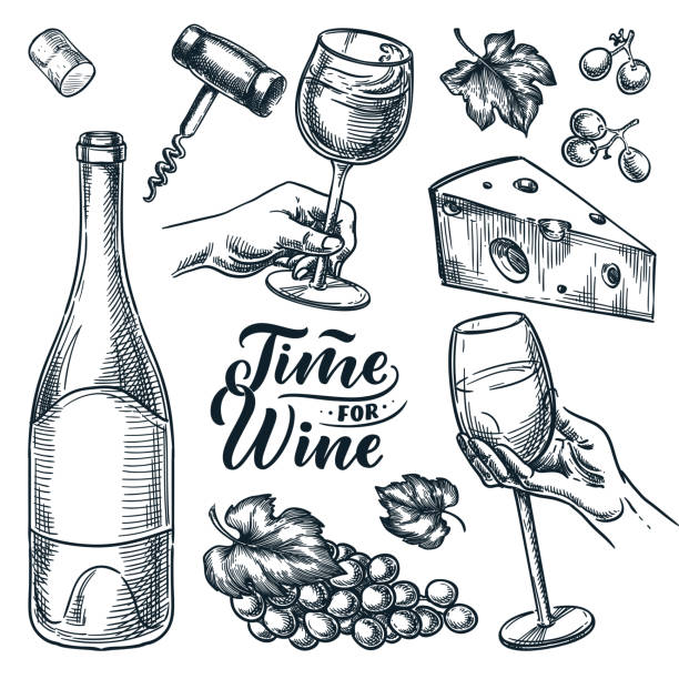 Time for wine vector hand drawn sketch illustration. Human hand holding wine glass. Doodle vintage design elements set Time for wine vector hand drawn sketch illustration. Human hand holding wine glass. Bottle, cheese, grape vine, cork, corkscrew, isolated on white background. Doodle vintage design elements set honor illustrations stock illustrations