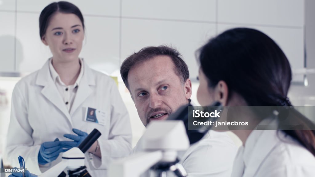 Pathogen Laboratory Laboratory Team Working With Pathogen Samples Using Microscope Stock ...