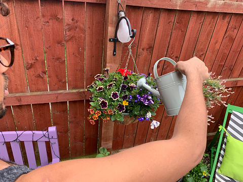 An over the shoulder view of a mixed race man looking after his hanging baskets in his garden at home in the North East of England.