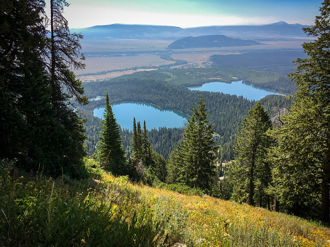 View of Taggart Lake and Bradley Lake From Teton Mountain at Grand Teton National Park
