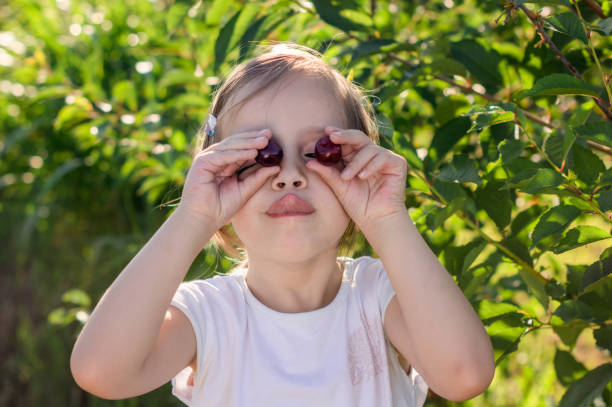 istock Child makes faces by holding cherries on her face 1256147126
