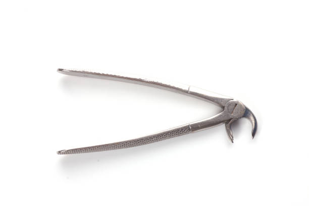 istock Dental instruments for dentistry on a white background 1256147584