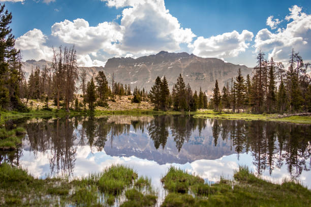 istock Beautiful Mountain Lake 1256148658
