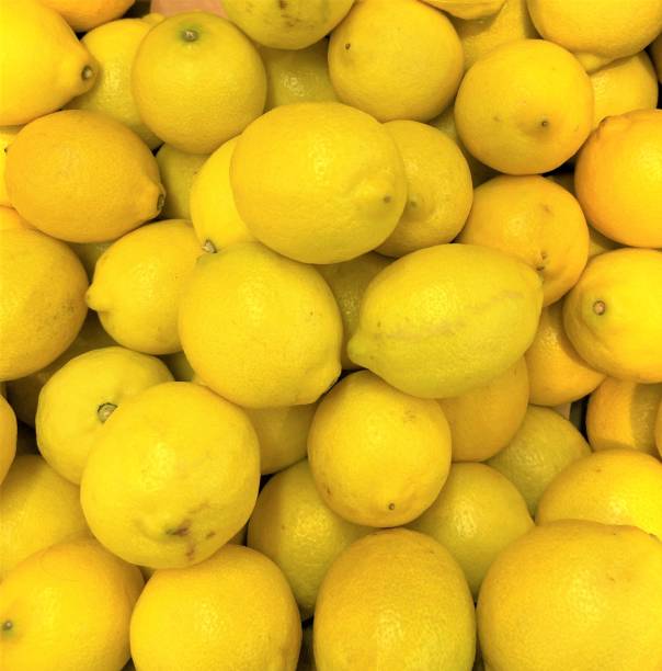 istock Ripe yellow lemons on pile 1256152371