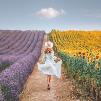 Rearview of joyful and happy young beautiful woman with white dress and hat walk on a road between lavenders and sunflowers fields on sunny day with cloudy blue sky in Valensole, Provence, France