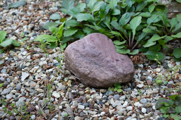 istock background of small stones in gray 1256154804