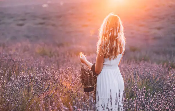 Rearview of Joyful and happy young beautiful woman with white dress holding casual handbag with dried flowers having fun in the endless lavender field at a sunrise time in Valensole, Provence, France