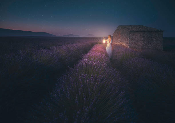 Young woman holding lantern in the lavender field during night The girl with blue dress walking while holds a large old classic kerosene oil or gas lamp in the dark area of endless lavenders field under stars at night in Valensole, Provence, France lanterns at night stock pictures, royalty-free photos & images