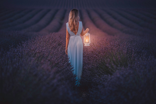 Rear view of a girl with blue dress walking while holds a large old classic kerosene oil or gas lamp in the dark area of endless lavenders field under stars at night in Valensole, Provence, France