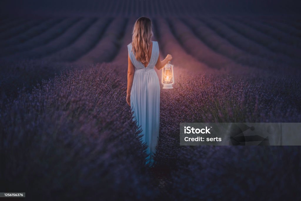 Young woman holding lantern in the lavender field during night Rear view of a girl with blue dress walking while holds a large old classic kerosene oil or gas lamp in the dark area of endless lavenders field under stars at night in Valensole, Provence, France Women Stock Photo