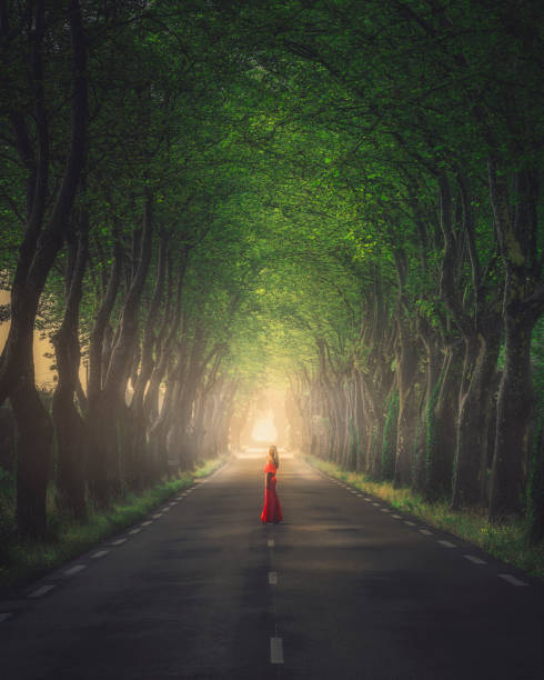 jeune femme sur la route dans le tunnel d’arbres sur le matin brumeux et ensoleillé - fairy forest women magic photos et images de collection