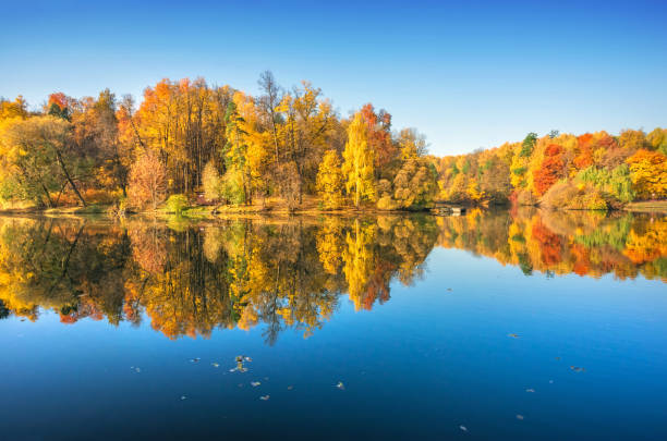 istock Colorful autumn trees in Tsaritsyno park in Moscow with mirror reflection 1256157434