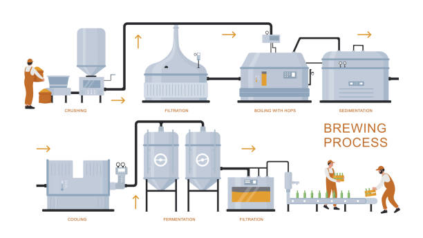 Beer brewing production process vector illustration, cartoon flat brewery plant equipment for manufacturing craft beer isolated on white Beer brewing production process vector illustration. Cartoon flat infographic poster of brewery plant equipment for preparation, boiling, fermentation, filtration craft beer product isolated on white fermenting stock illustrations