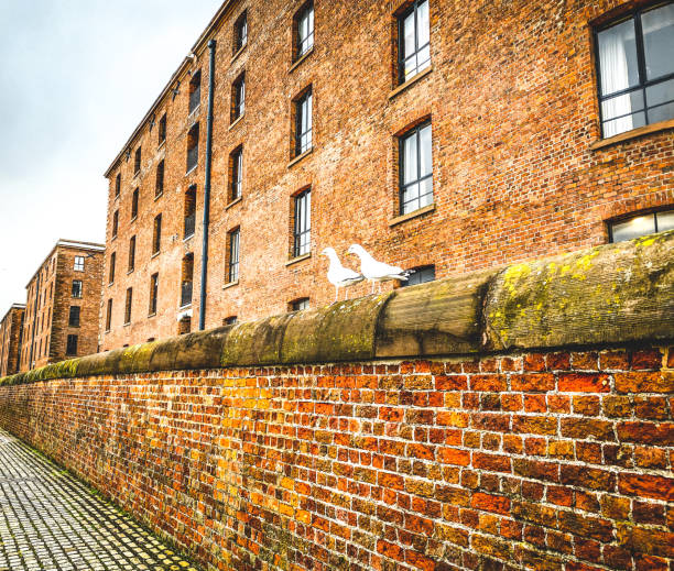 Two seagulls seating on the brick wall