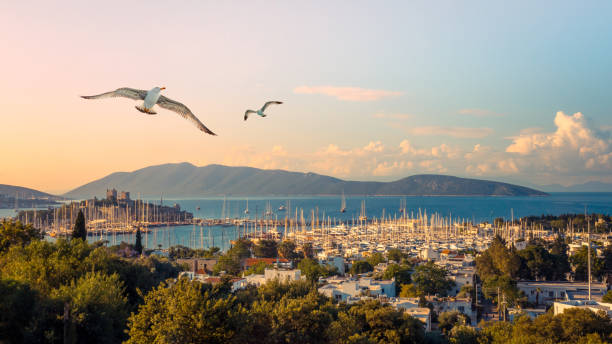 bodrum marina mit yachten in einem hafen von bodrum. - provinz mugla stock-fotos und bilder