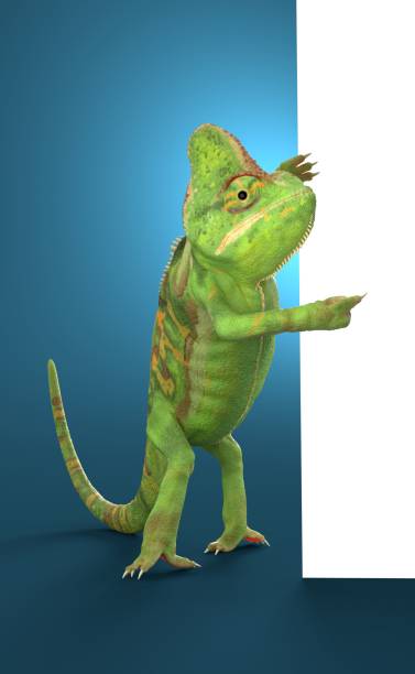 istock Chameleon pointing on blank sheet of paper 1256162149