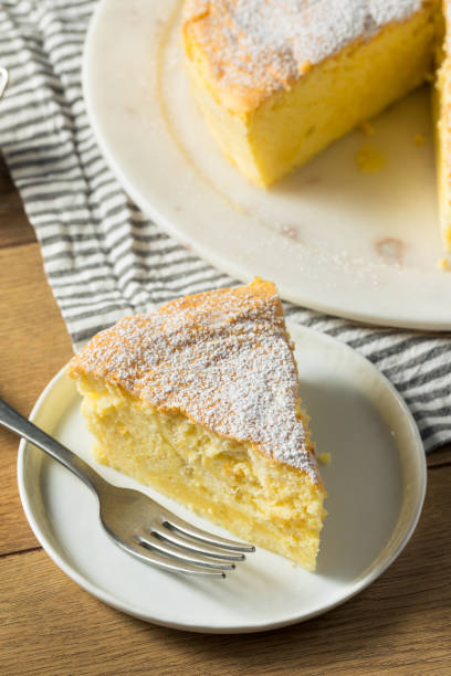 istock Homemade Fluffy Japanese Cheesecake 1256167392