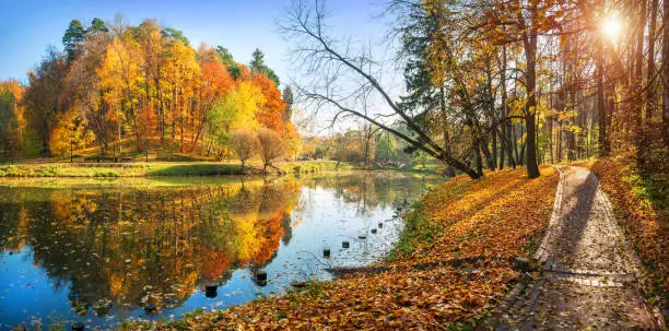 Photo of Panoramic view of colorful autumn trees and a path along the pond in Tsaritsyno Park in Moscow