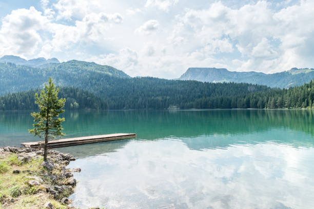 istock Montenegro mountain landscape 1256174016