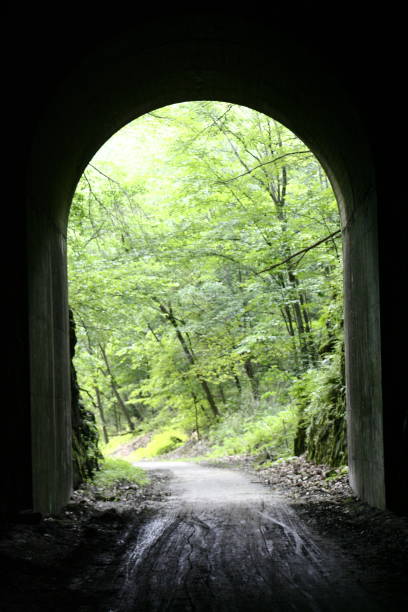 istock Tunnel on Bike Trail 4 1256175727