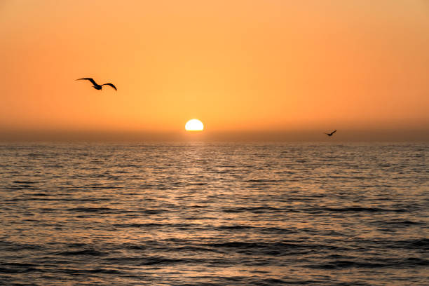 istock Majestic sunset over the Pacific ocean. 1256178030