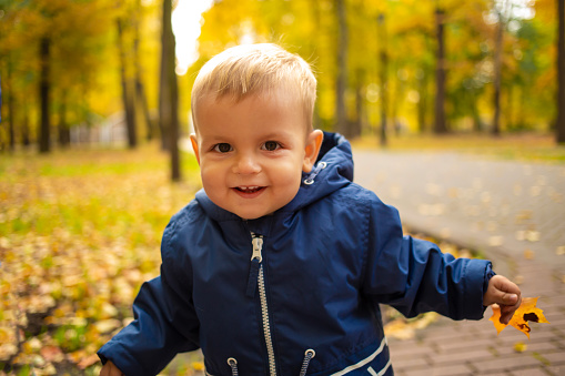 Toddler baby laughs and looks at the camera in an autumn park with yellow leaves.