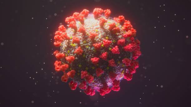 istock Coronavirus on a dark background. SARS-CoV-2.3D Render - illustration. 1256179691