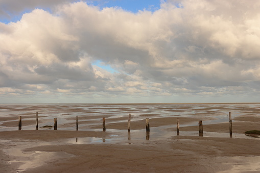 Piles in the Wadden Sea