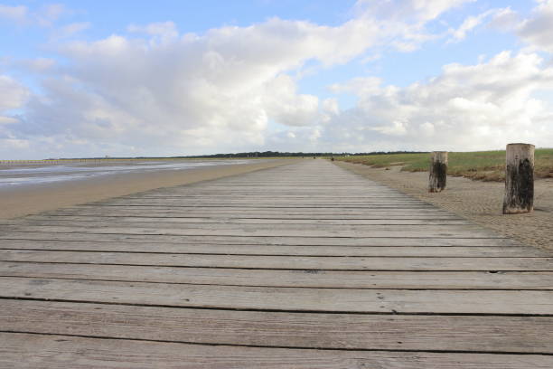 istock Wooden walkway on the coast 1256184742