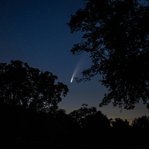 Comet Neowise in sky's above trees stock photo