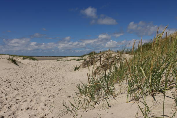 istock the North Sea coast 1256185553