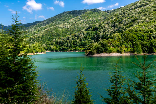 Yuvacik dam lake and nature in Kocaeli province, Turkey.