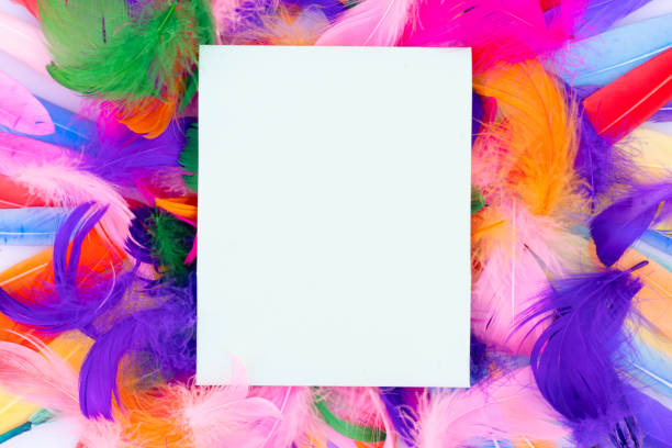 istock Colorful pattern made of feathers 1256186925