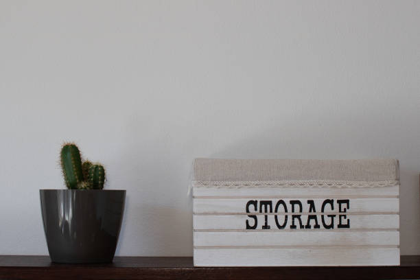 istock Cactus and storage wooden box on shelf 1256187099