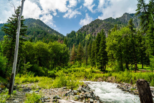 istock White water rapids of the Wallowa River 1256187776