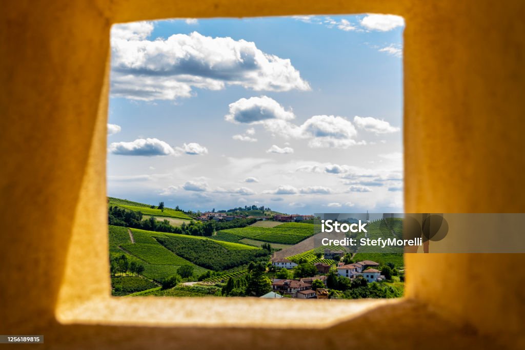 Panoramic point of the Langhe-Roero hills (Neive,Cuneo, Piedmont, Italy). View from a panoramic point of the hills planted with vineyards in the Langhe-Roero area (Neive,Cuneo, Piedmont; Italy), a World Heritage Site, in summer. Cuneo Stock Photo