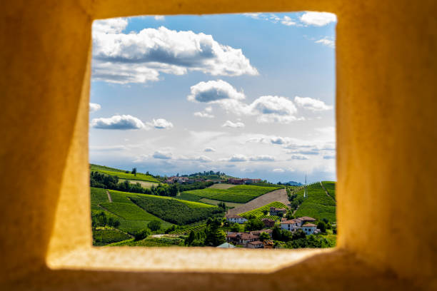 Panoramic point of the Langhe-Roero hills (Neive,Cuneo, Piedmont, Italy). stock photo
