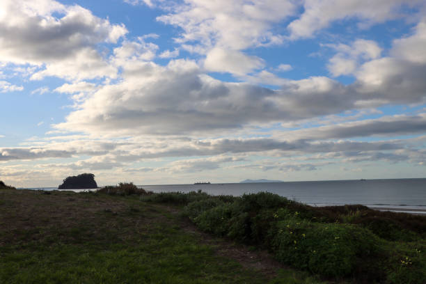 istock Looking N/East from Tauranga 1256189962