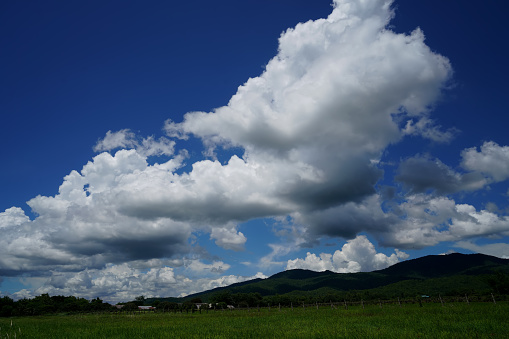 cloudscape on the rice fields of thailand