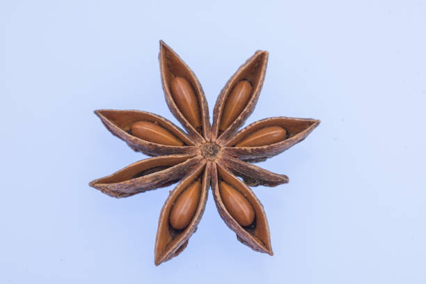 Dried  anise star  on white background