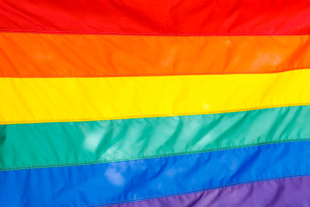istock Traditional Gay Pride Flag 1256200833