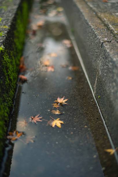 istock Hakone town with autumn color 1256201051