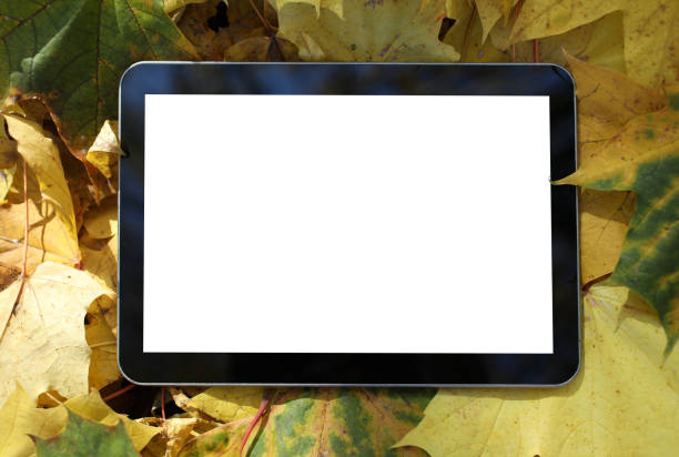 The tablet lies on the fallen yellow leaves background. Autumn sales concept