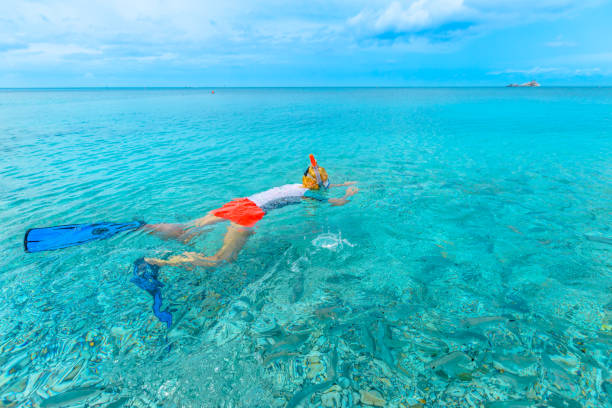 istock Le Ghiaie Beach snorkeling 1256203421