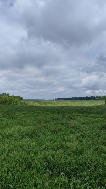 istock Banks of Lac St-Pierre (photo2) 1256208581