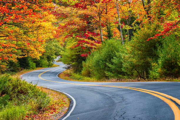 Winding road curves through autumn foliage trees in New England Winding road curves through scenic autumn foliage trees in New England. winding road stock pictures, royalty-free photos & images