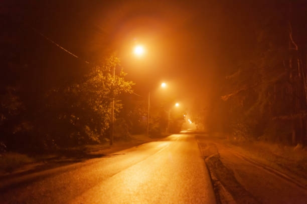 istock night desert road in the fog 1256211063