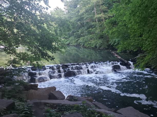 Bronx river waterfall Bronx river waterfall with trees in bronxville bronxville photos stock pictures, royalty-free photos & images